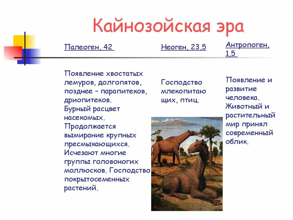 Кайнозойская период растения. Кайнозой Эра таблица. Палеогеновый период кайнозойской эры таблица. Период Кайнозойская Эра палеоген таблица. Кайнозойская Эра животный мир растительный мир таблица.