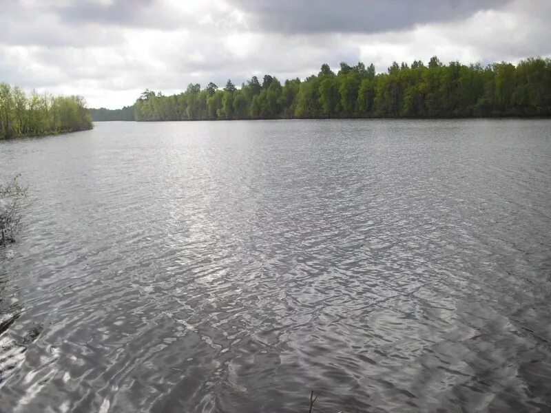 ильиногорск сейма. ильиногорск сейма. ильиногорск стадион. поселок ильиногорск. п ильиногорск нижегородская область.