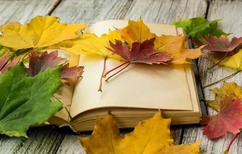 Книжный листва