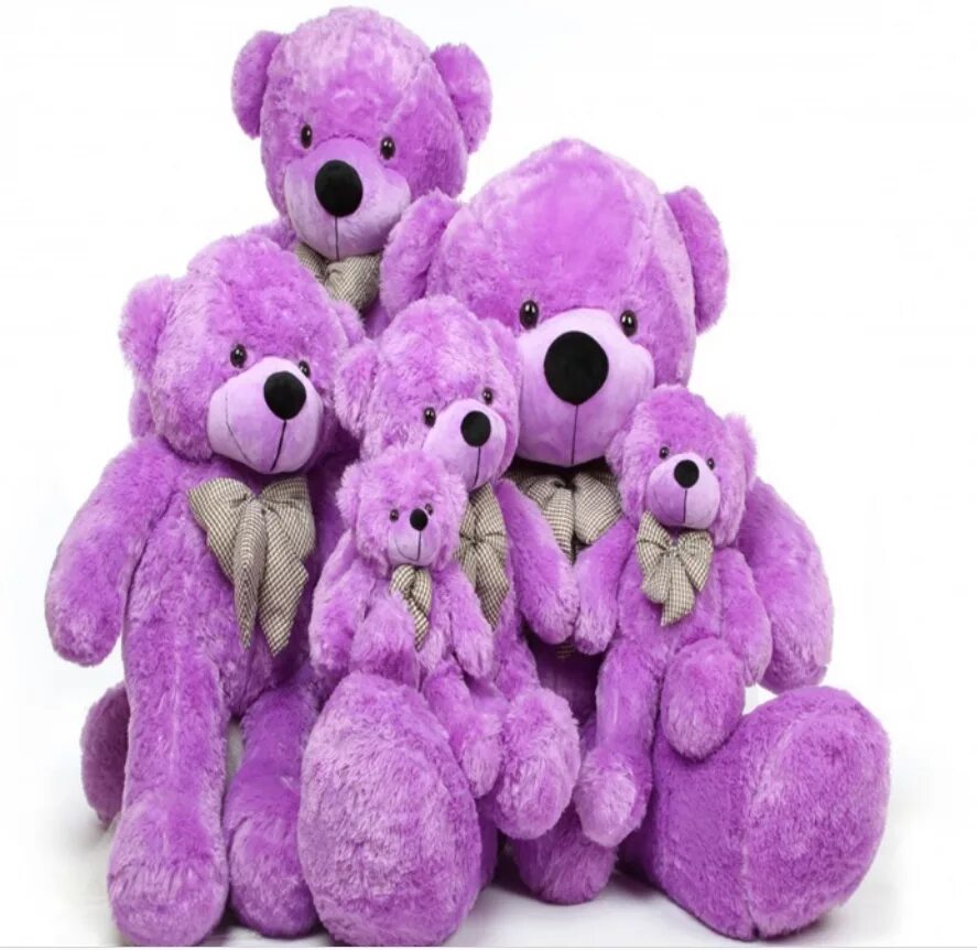Фиолетовый мишки игру. Фиолетовый медведь. Фиолетовый мишка. Лиловый мишка. Фиолетовый плюшевый медведь.