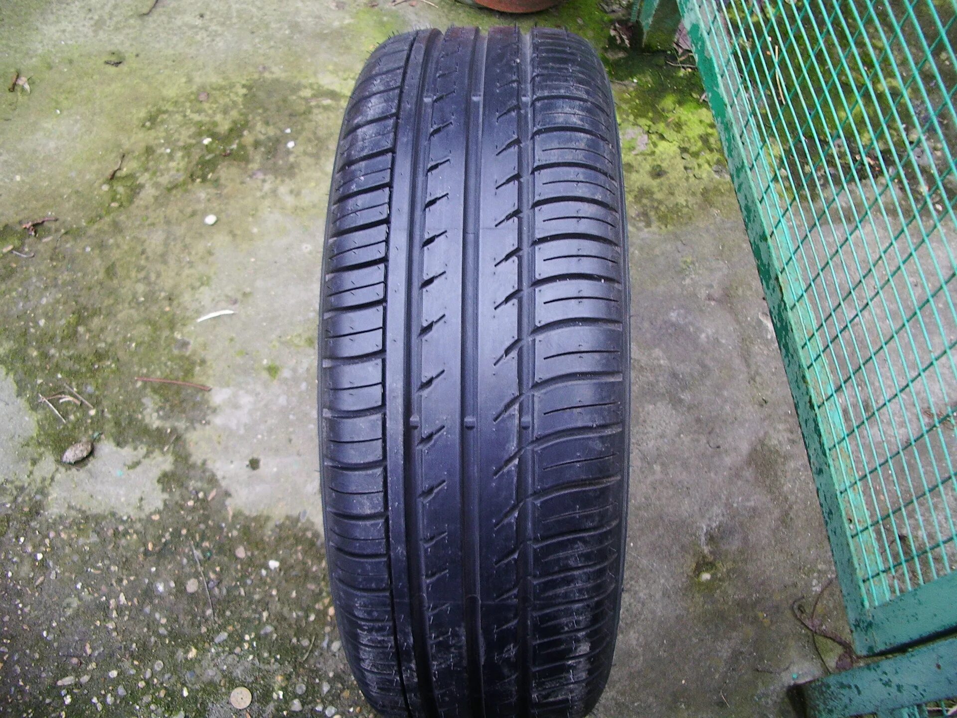 Белшина 215/60 r16 лето. Шины Белшина Artmotion бел-283 215/60 r16 95h. 215/60r16 Artmotion 283. Шина Белшина Artmotion летняя. Белшина 205 60 r16 лето