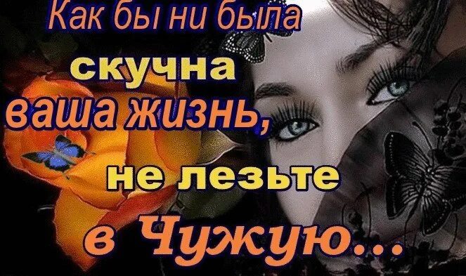 Не лезьте в чужую жизнь. Не лезть в чужую жизнь. не лезьте в чужую. картинки не лезьте в чужую жизнь.