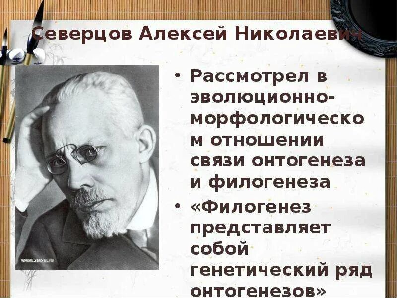 Северцов биологический прогресс. А Н Северцов вклад в биологию. Северцев теории эволюции.