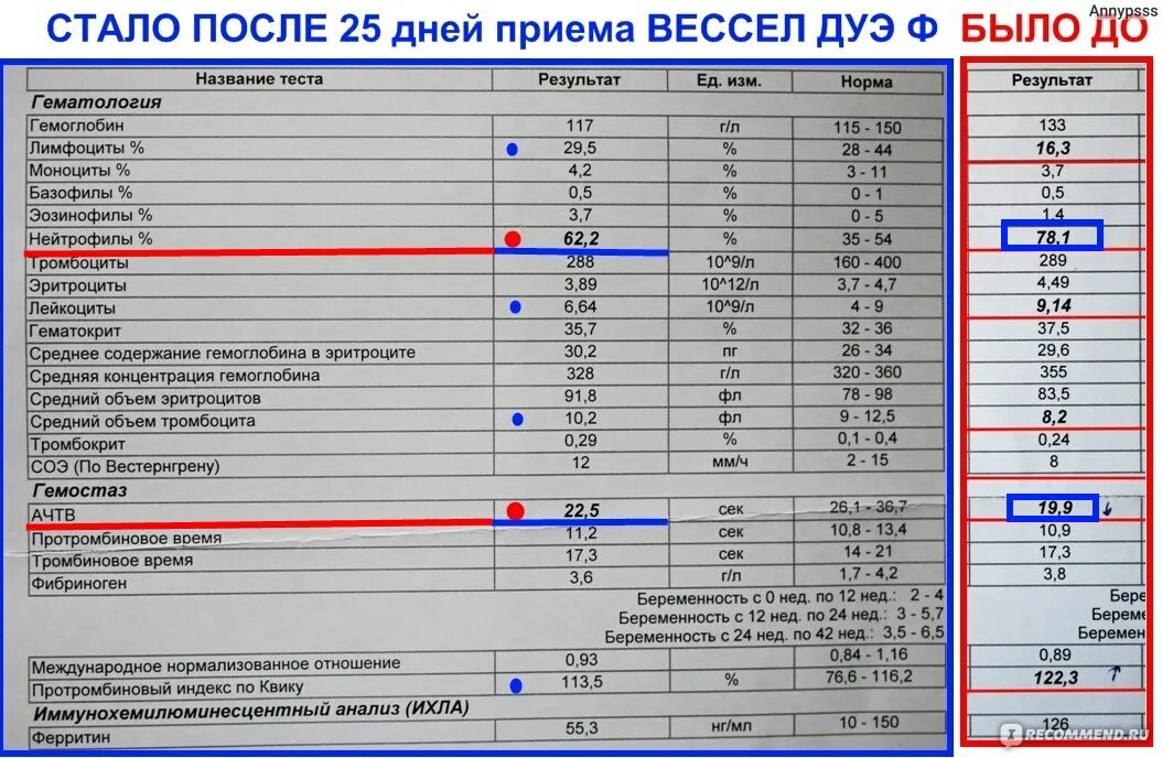 Нейтрофилы относительные повышены при беременности. Нейтрофилы относительные повышены при беременности