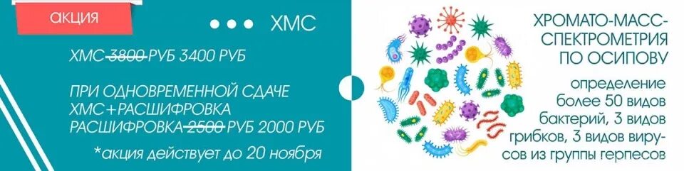 Микробиом по осипову. Хмс по осипову. анализ по осипову. хмс по осипову расшифровка.