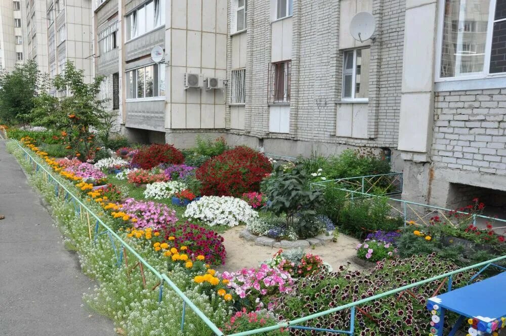 Зеленые дворы пятиэтажки. Лучший двор. Хороший зеленый двор. Конкурс лучший двор. Хороший зеленый двор.