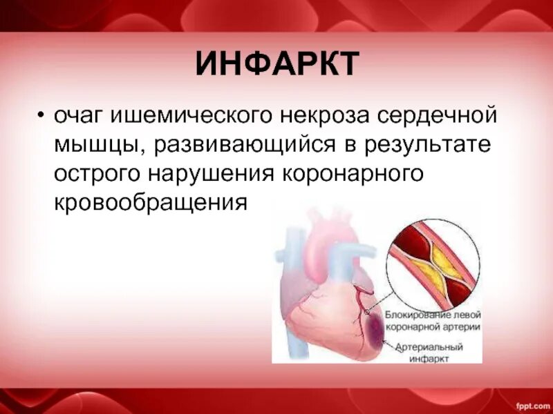 Что делают сердечные мышцы