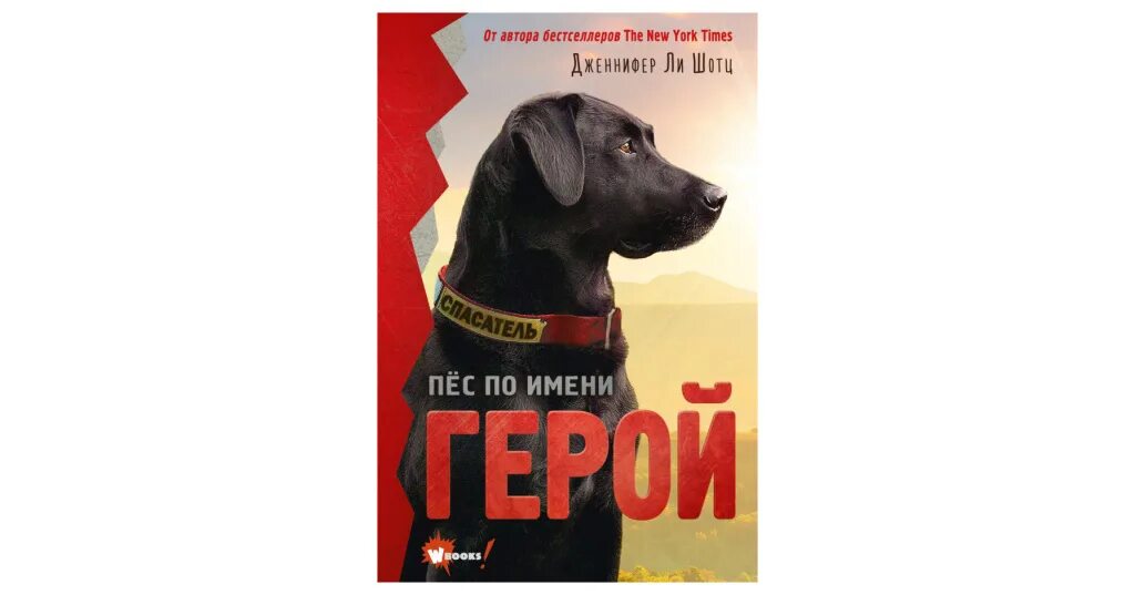 Книга для…. Книги про собак. Шефер бодо "пёс по имени мани". Собака герой книги книга. Шефер "пес по имени мани".