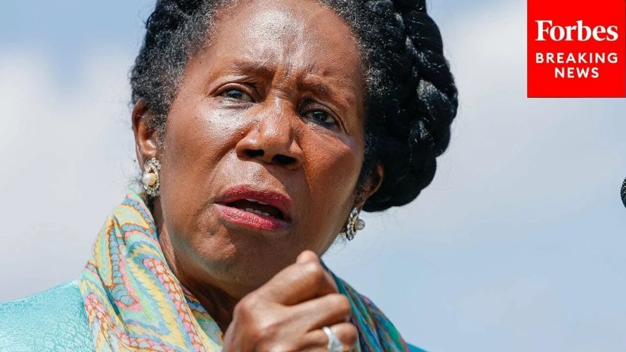 Sheila jackson ts. Sheila jackson lee. Jackson lee kellerman. Jackson lee_1. Sheila jackson lee.