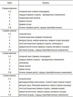 За какие органы отвечают зубы человека