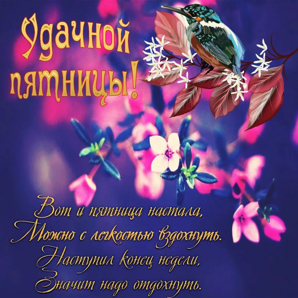 Удачного дня пятницы картинки. Открытки с пятницей. доброе утро пятницы. красивые пожелания с пятницей. поздравление с пятницей и добрым утром.