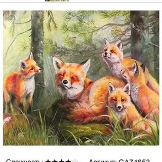 Чистый лис