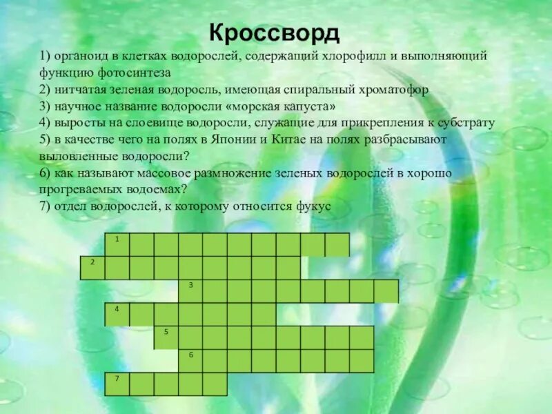 Кроссворд живые клетки. Кроссворд по биологии 5 класс на тему водоросли. Кроссворд на тему водоросли 5 класс биология с ответами. Кроссворд на тему водоросли. Кроссворд на тему биология.