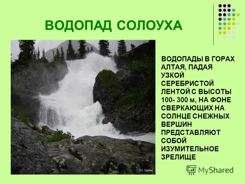 Сообщение о алтайском заповеднике. Алтайский заповедник презентация. Заповедники Алтайского края. Алтайский заповедник доклад. Презентация на тему заповедники Алтайского края.