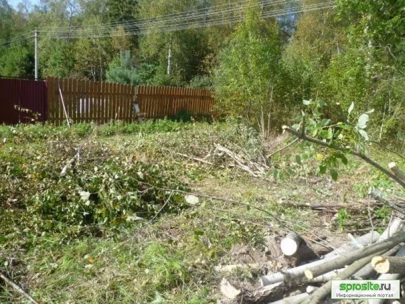 Как очистить участок от деревьев и кустарников. Расчистка участка от кустарников и поросли. расчистка дачных участков.. очистка участка от деревьев и кустарников. очистка участка от поросли.