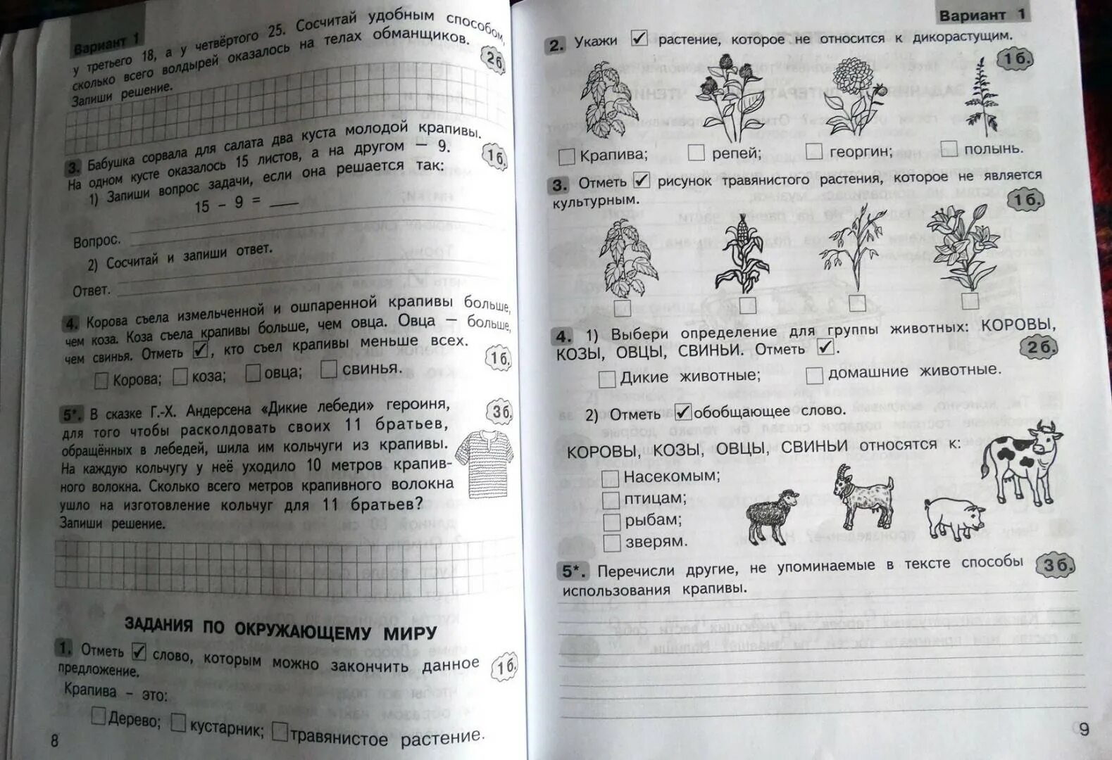 Комплексные работы по текстам 2 класс ответы. Комплексные работы по текстам 2 класс. Холодова комплексные работы. Комплексные задания для 1 класса. Работа по тексту 2 класс.