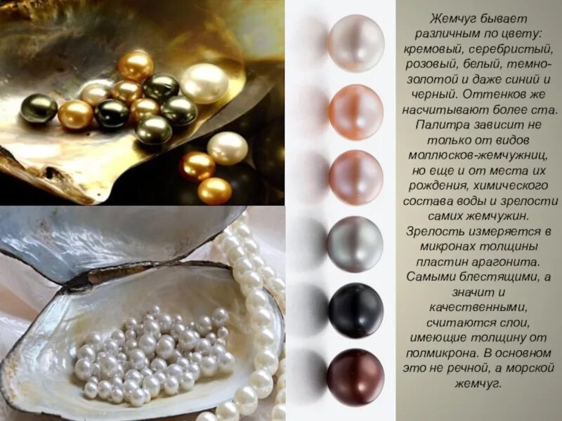 Что значит жемчуг. Характеристика жемчуга. Белый жемчуг акойя. Жемчуг камень талисман. Жемчуг кортеса.