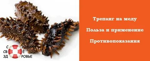 Вытяжка трепанга отзывы