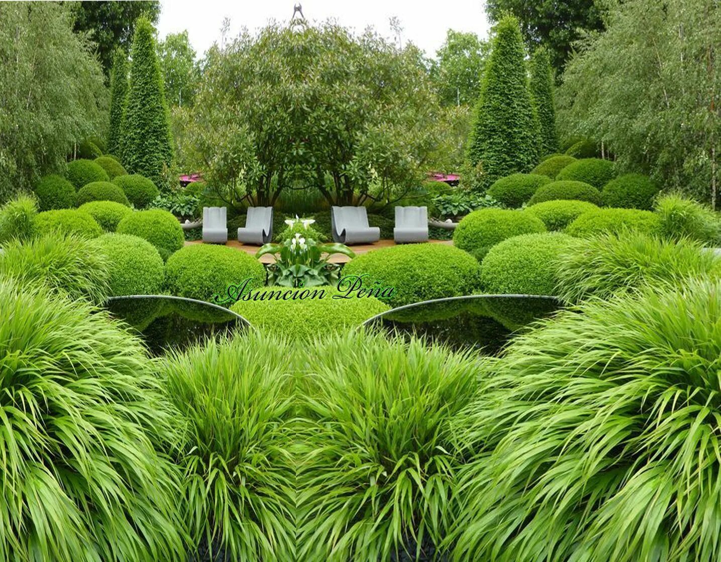 Декоративные зеленые растения для сада. Дизайнерский ландшафт. Современный сад в ландшафтном дизайне.