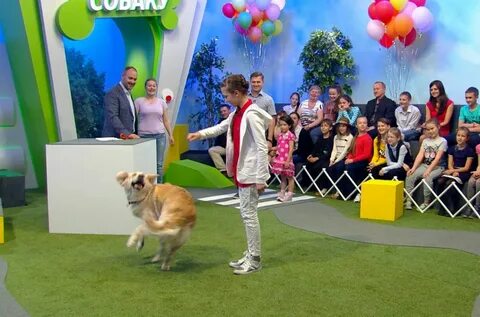 Новые передач собака фан 2024