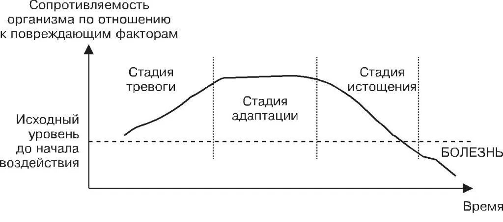 Динамика стресса. Три стадии стресса Ганса Селье. Ганс Селье фазы стресса. Стадии стресса по Гансу Селье. III стадию развития стресса (по Селье) отличает.