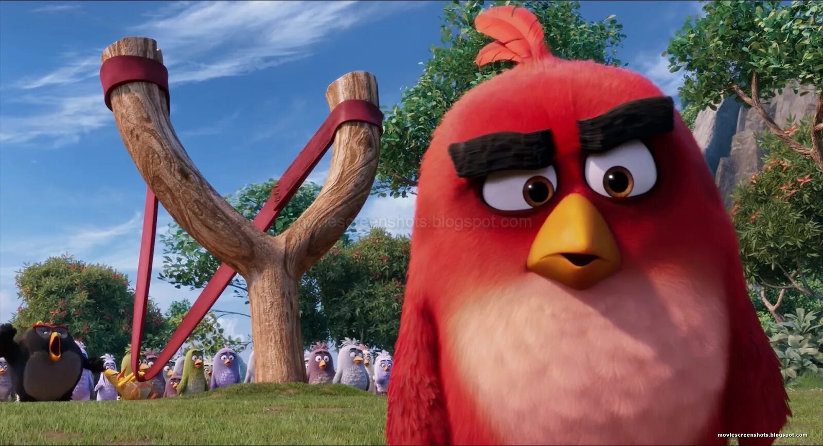 Angry birds 3d. Ред Энгри бердз дом. The Angry Birds movie (2016).