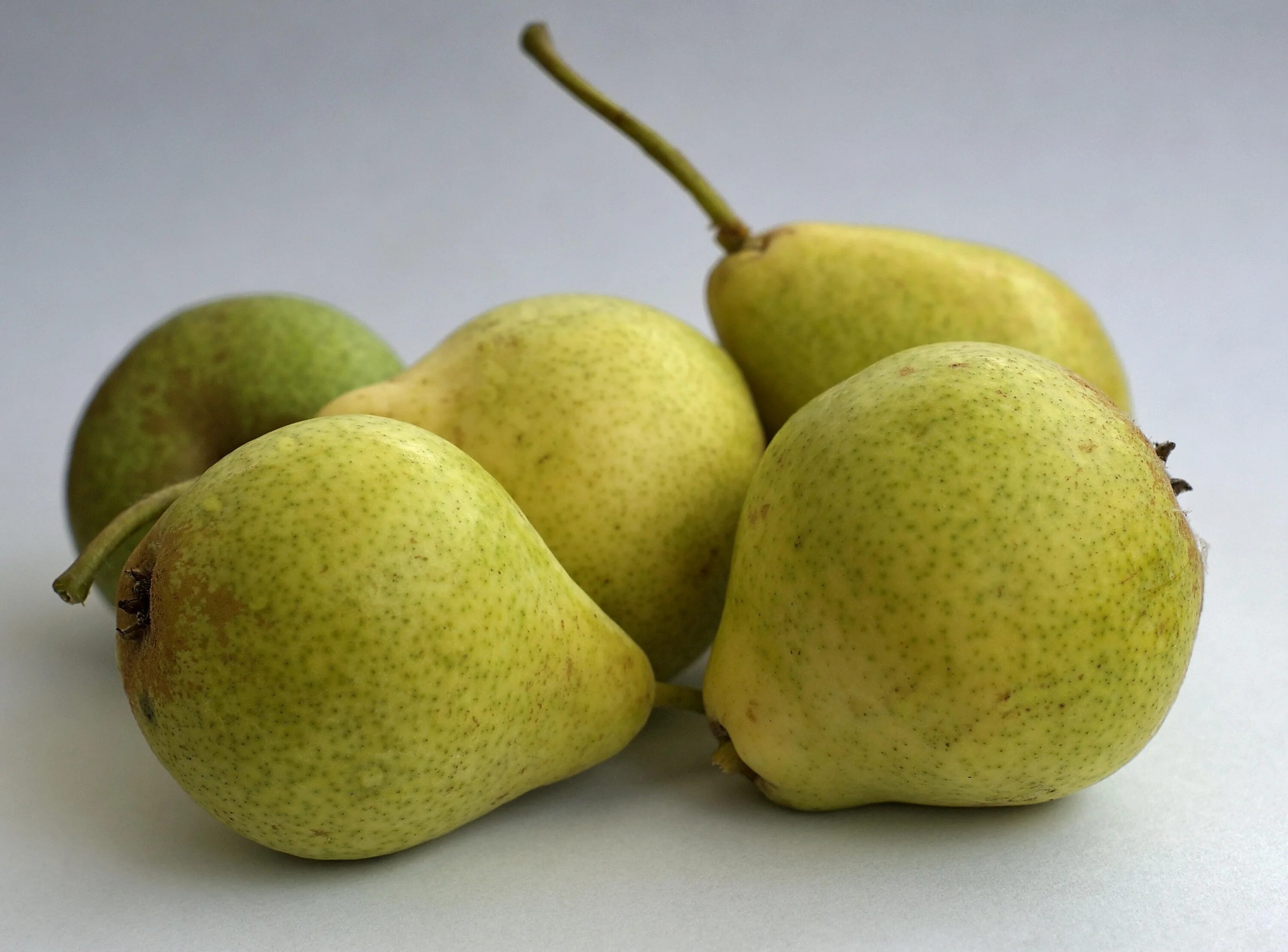 Sweet pear. Груша. Груша фрукт. Сочная груша. Груша картинка.