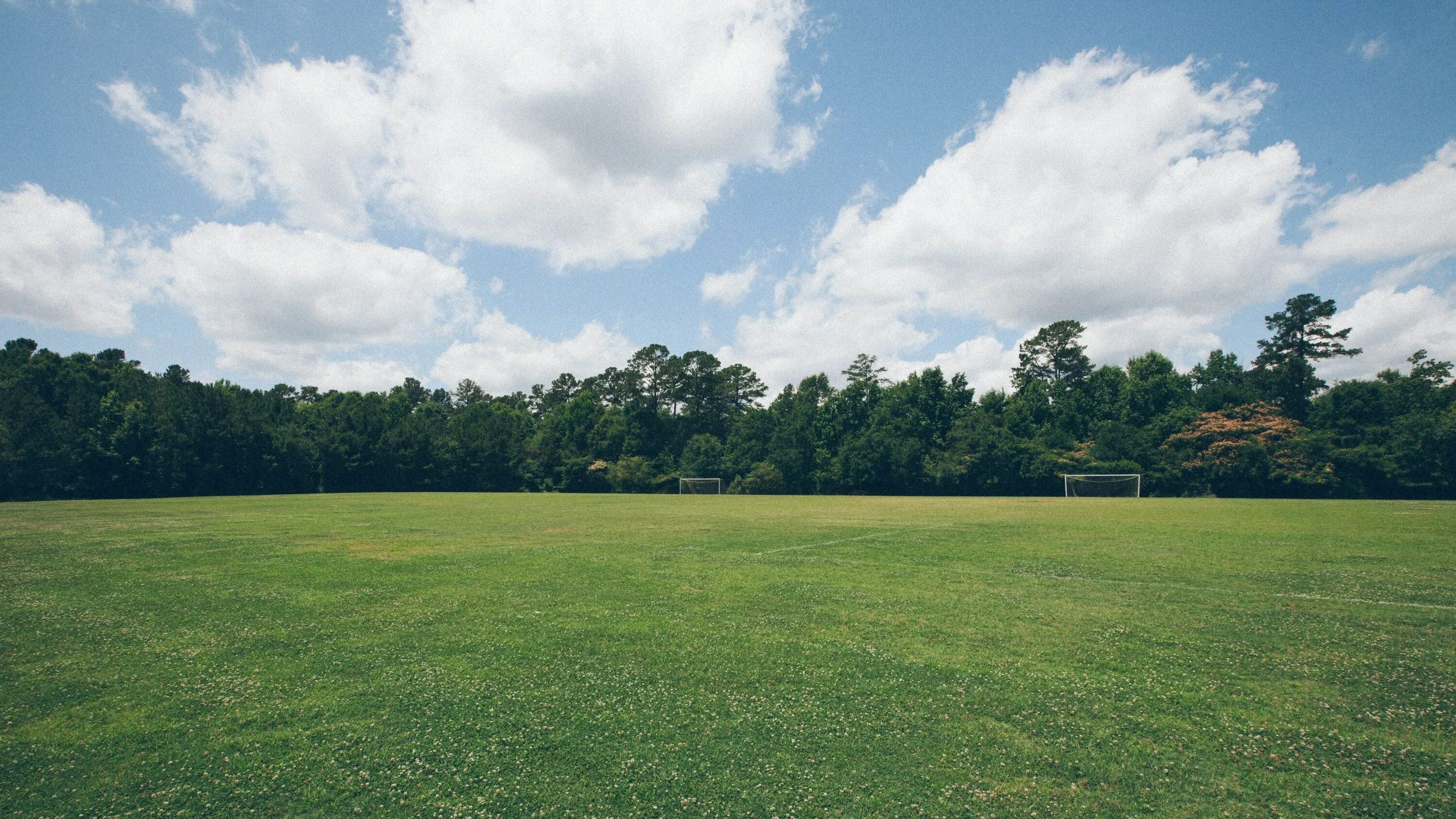 Broad field