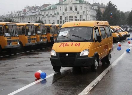 Какие автобусы школьные