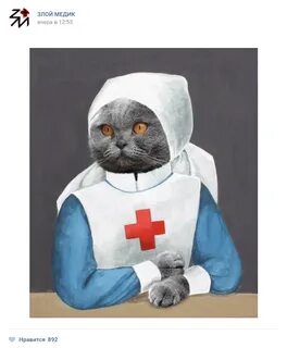 Злом медике