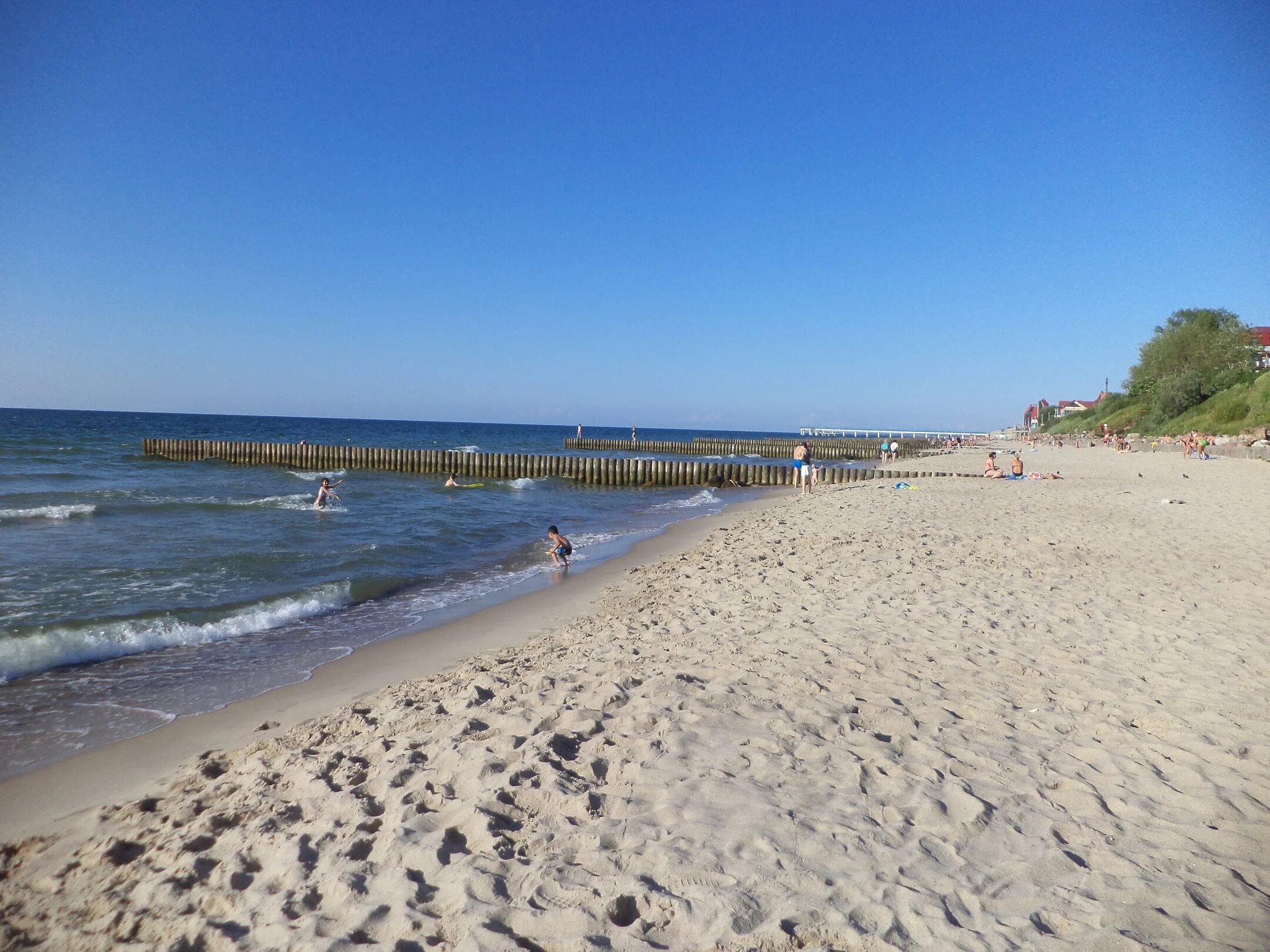 Зеленоградск море отзывы