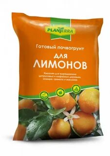 Грунт для лимонов