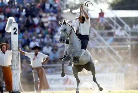 Riding competition