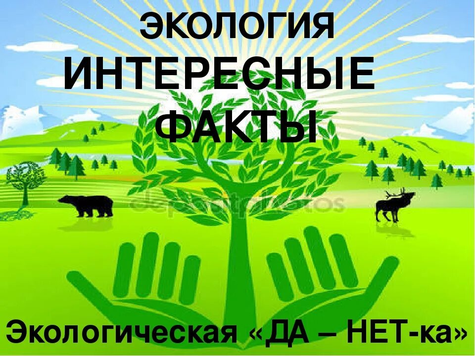 Проблема экологии факты. Интересные факты об экологии. Интересные факты об экологии для детей. Экологические факты интересные. Интересная экология.