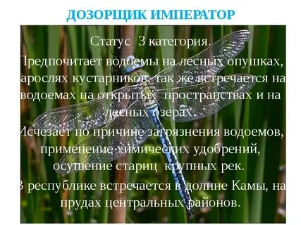 Статусе императора