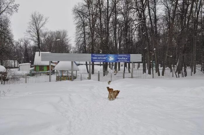 Чайка, детский оздоровительный лагерь, Шафиева, 1а, Уфа - 2ГИС