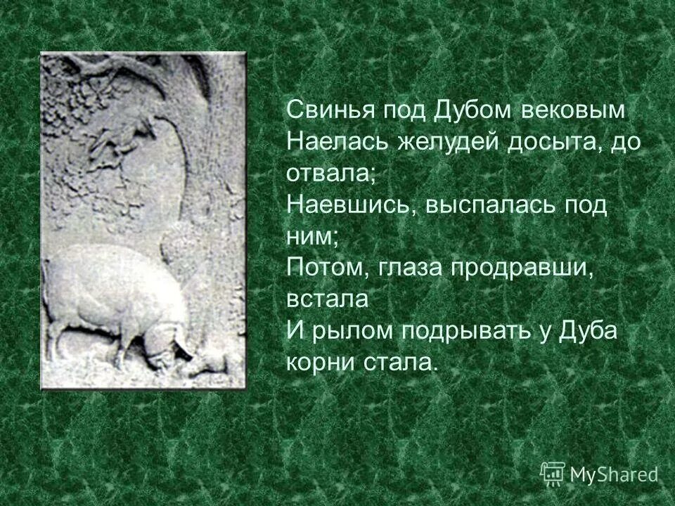 свинья под ду. свинья под дубом вековым наелась. свинья под дубом наелась желудей. свинья под дубом вековым наелась желудей. св нь под дубом вековым.