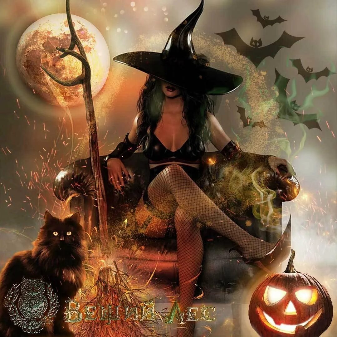 Художник-иллюстратор david dunstan. Метла ведьмы. Поздравления с днем рождения ведьме. Даты ведьма. Клавдия шведова.