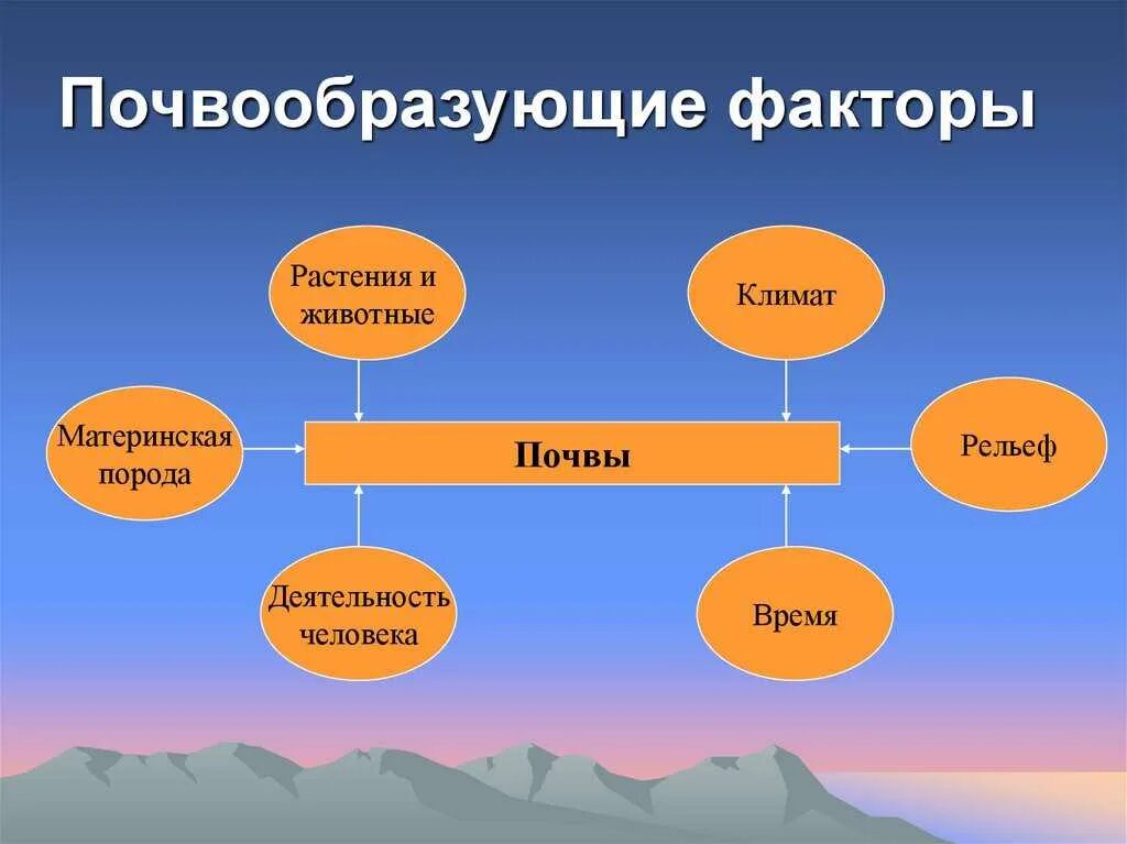 Что влияет на образование типов почв. Факторы почвообразования схема. почвообразующие факторы. основные почвообразующие факторы. факты почвообразования.