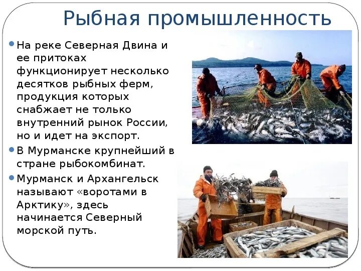 Рыбная промышленность является отраслью специализации. Отрасли рыбной промышленности. Рыбная промышленность России. Рыбная промышленность сообщение. Рыбная промышленность России презентация.