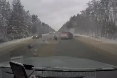Дтп рождествено
