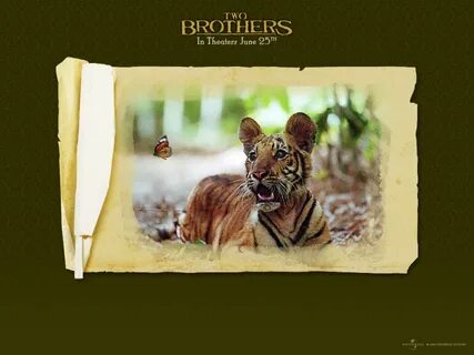 Do you have brothers