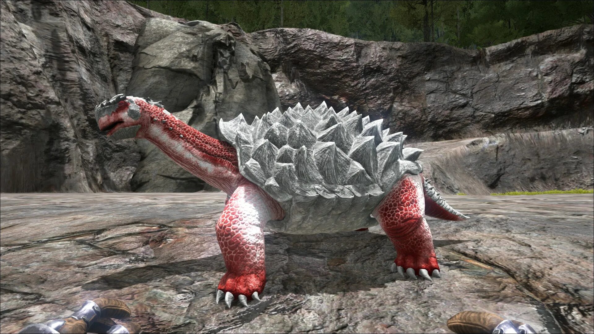 Черепаха карбонемис. Карбонемис в ark survival. Карбонемис арк. Арки карбонемис. Карбонемис арк.