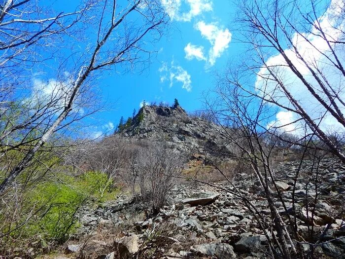 Где партизанский район. Николаевка Приморский край Партизанский район. Село Николаевка Приморский край Партизанский район. Ущелье дендроэллы Приморский край Партизанский район. Приморский край, Партизанский район, г. Партизанск.