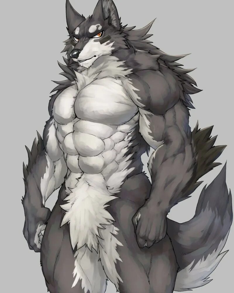 Furry большие