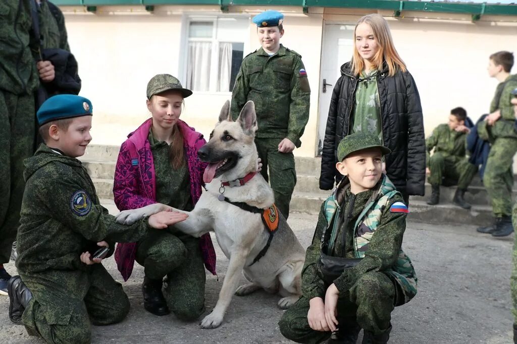 Высшее образование кинолог. Кинологическая служба мчс. Ника кидман кинолог. Высшее образование кинолог. Служебные собаки фсин.