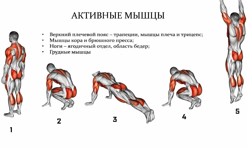 Мышечные упражнения