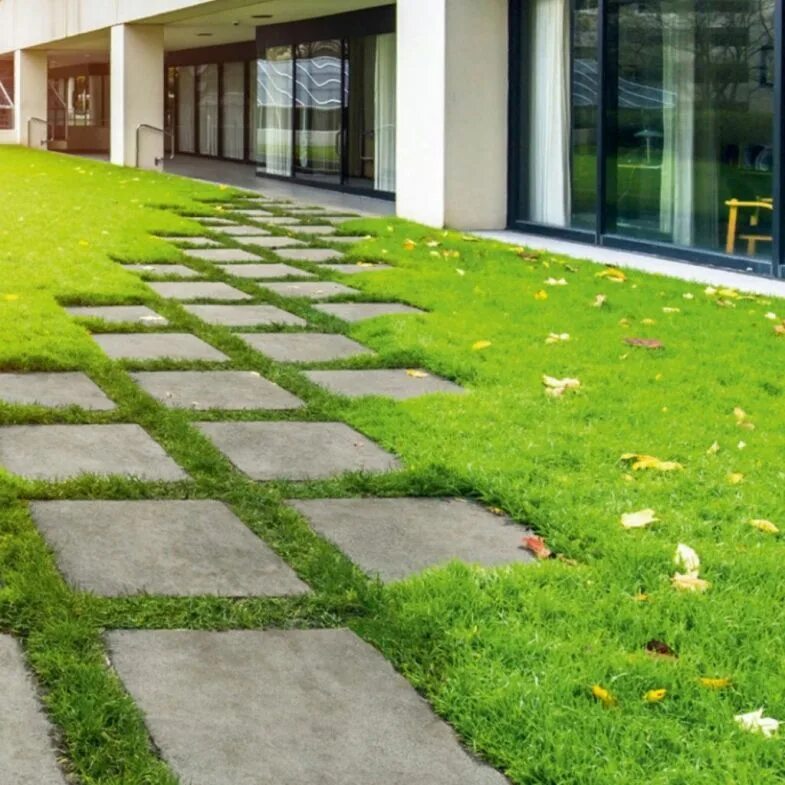 Трава на территории предприятия. Спортивный газон. Трава на территории предприятия. Райграс газонная трава. Трава на территории предприятия.