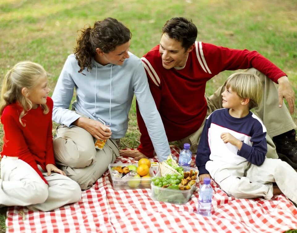 Family description. Семейный пикник. Семейные праздники. Семья на пикнике. Семейные традиции.