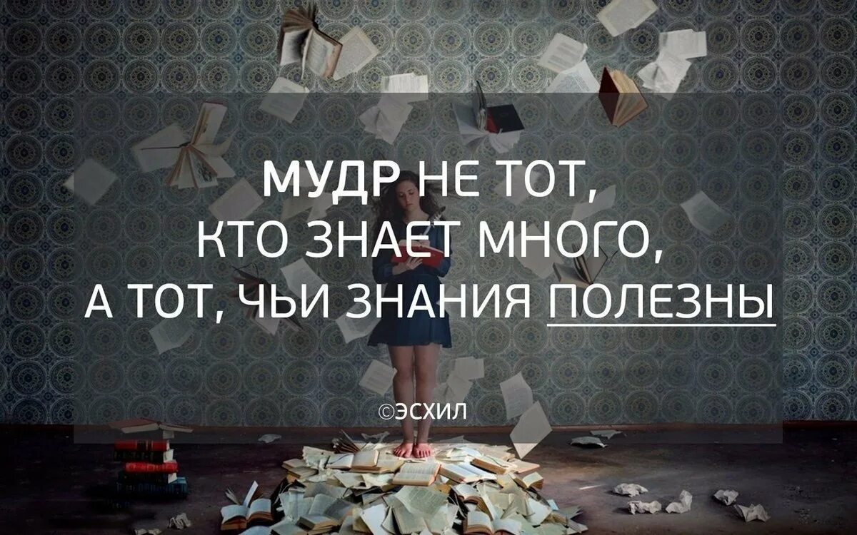 Цитаты про знания. Умные мысли про знания. Фразы про знания. Знания и мудрость афоризмы.